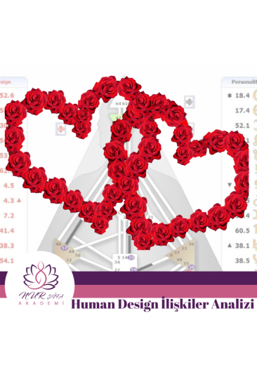 Human Design İlişkiler Analizi